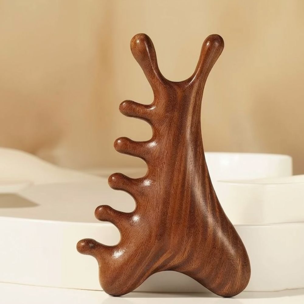 Peine portátil para masajear e - Spa Wellness Health reseña y precio